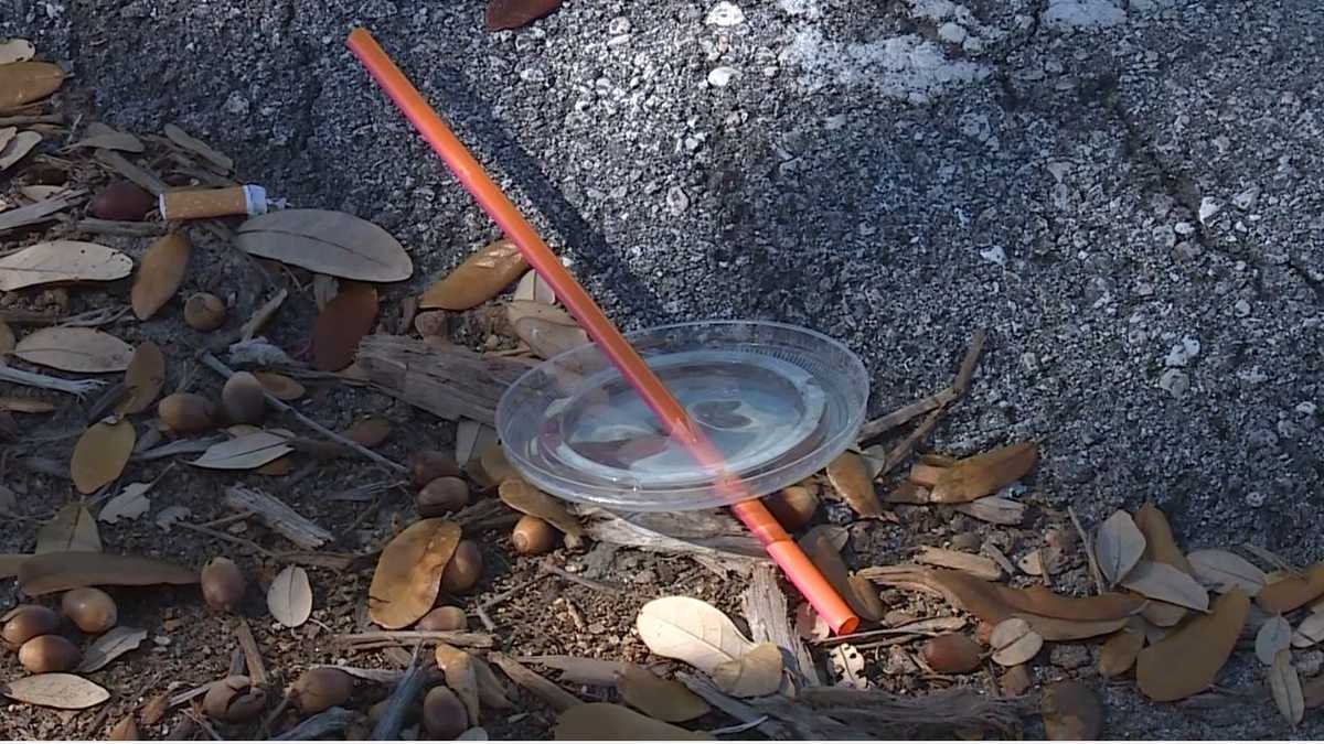 Delray Beach City Commission approves plastic straw ban
