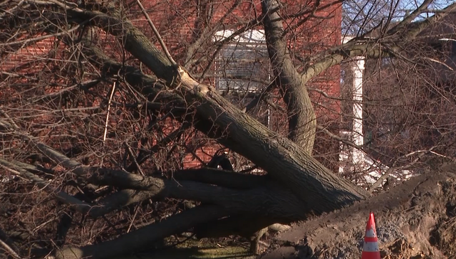 Mooers man died during weekend wind storm, police say - Vimarsana News
