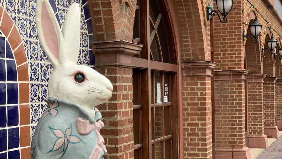 The bunnies are back on the Plaza!