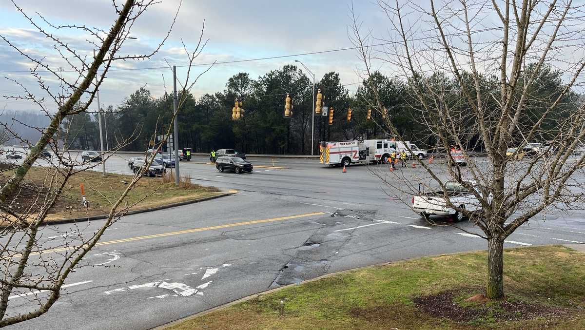 South Carolina: Coroner identifies pedestrian hit, killed