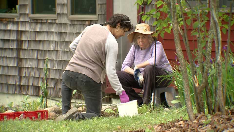 Wednesday, June 20th Plowshare Farm