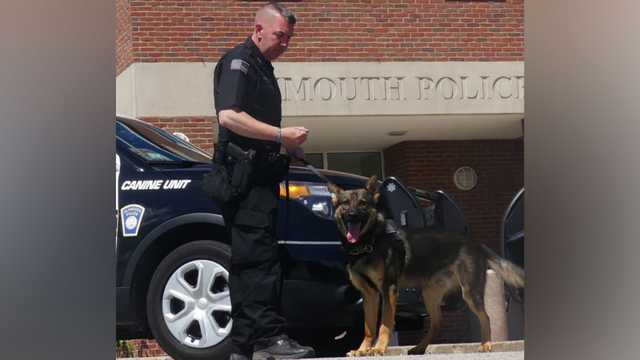 Massachusetts police officer shoots, kills his K-9 after dog attacks him, chief says - Vimarsana News