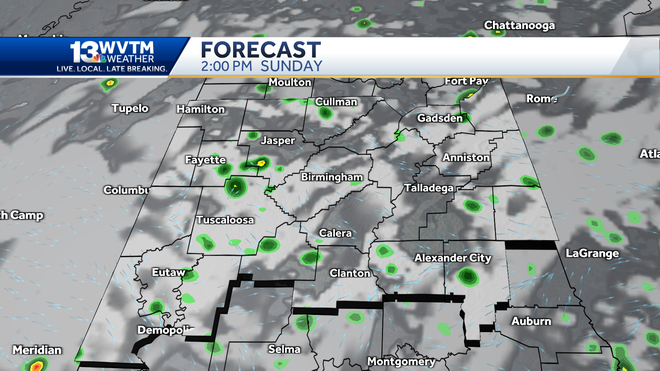 Alabama Forecast