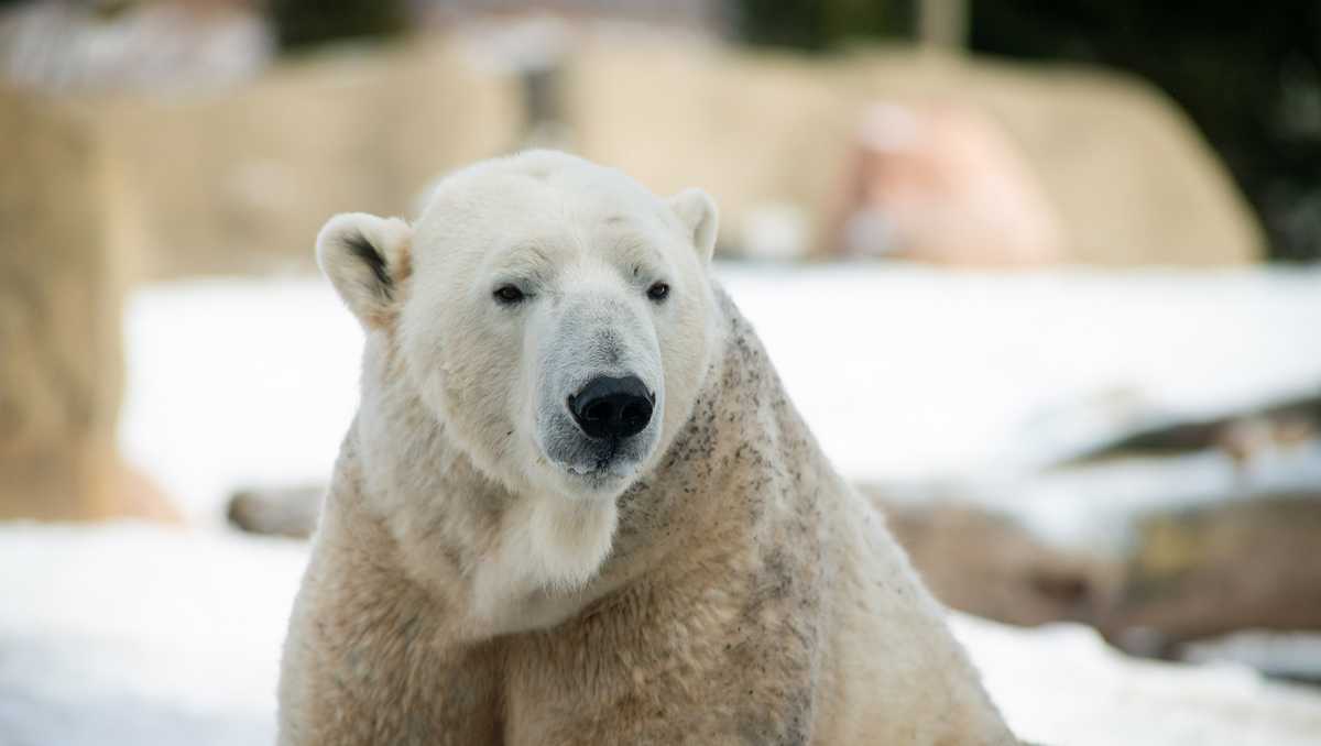 Louisville Zoo is hiring for several seasonal positions