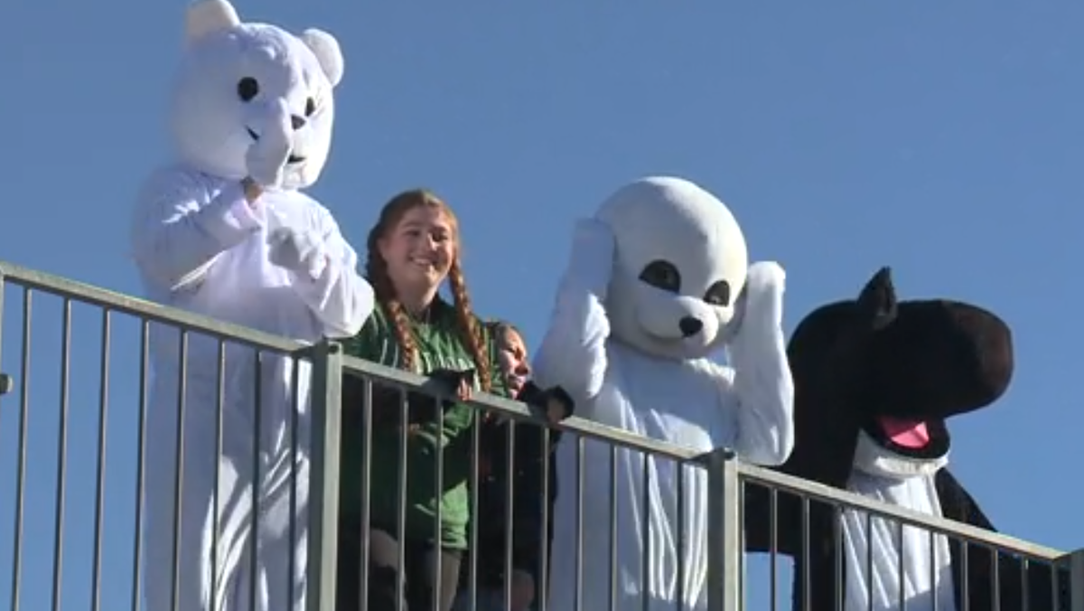 'Polar Bears' plunge into the New Year with aplomb