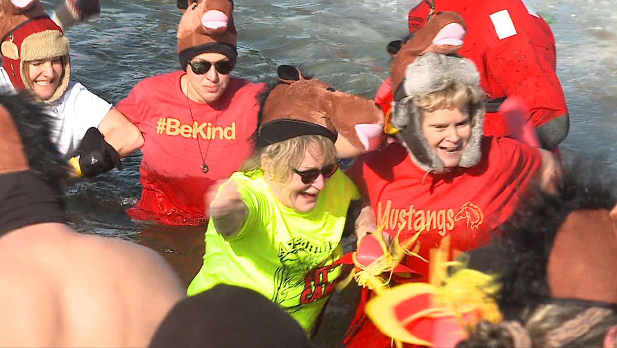 Hundreds brave cold for Polar Plunge