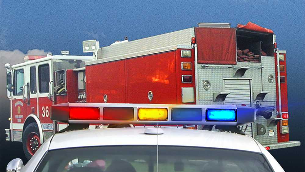 South Carolina coroner gives new details on deadly vehicle fire