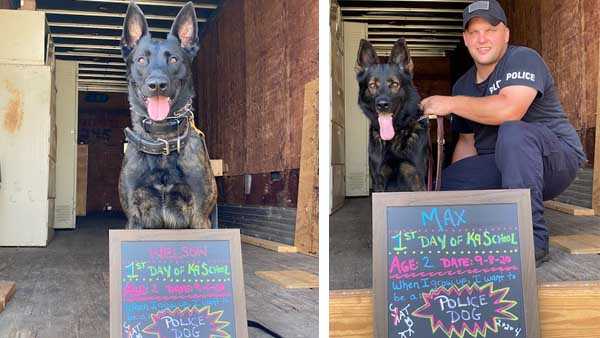 dog handler training schools