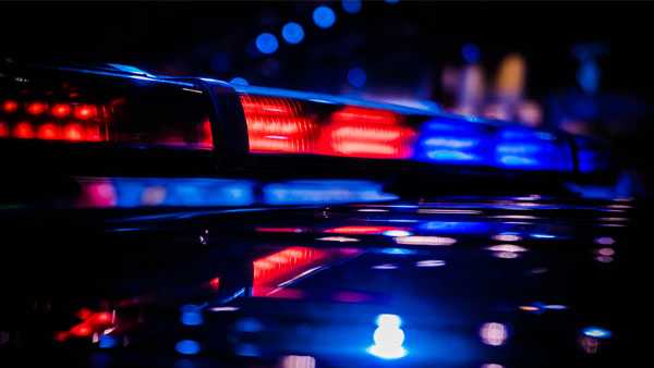 LMPD shoots and kills 2 dogs after man, girl attacked in Algonquin neighborhood