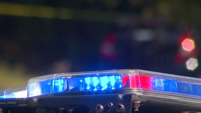 Dog found dead with severe burns in Lynn, Mass. - Vimarsana News