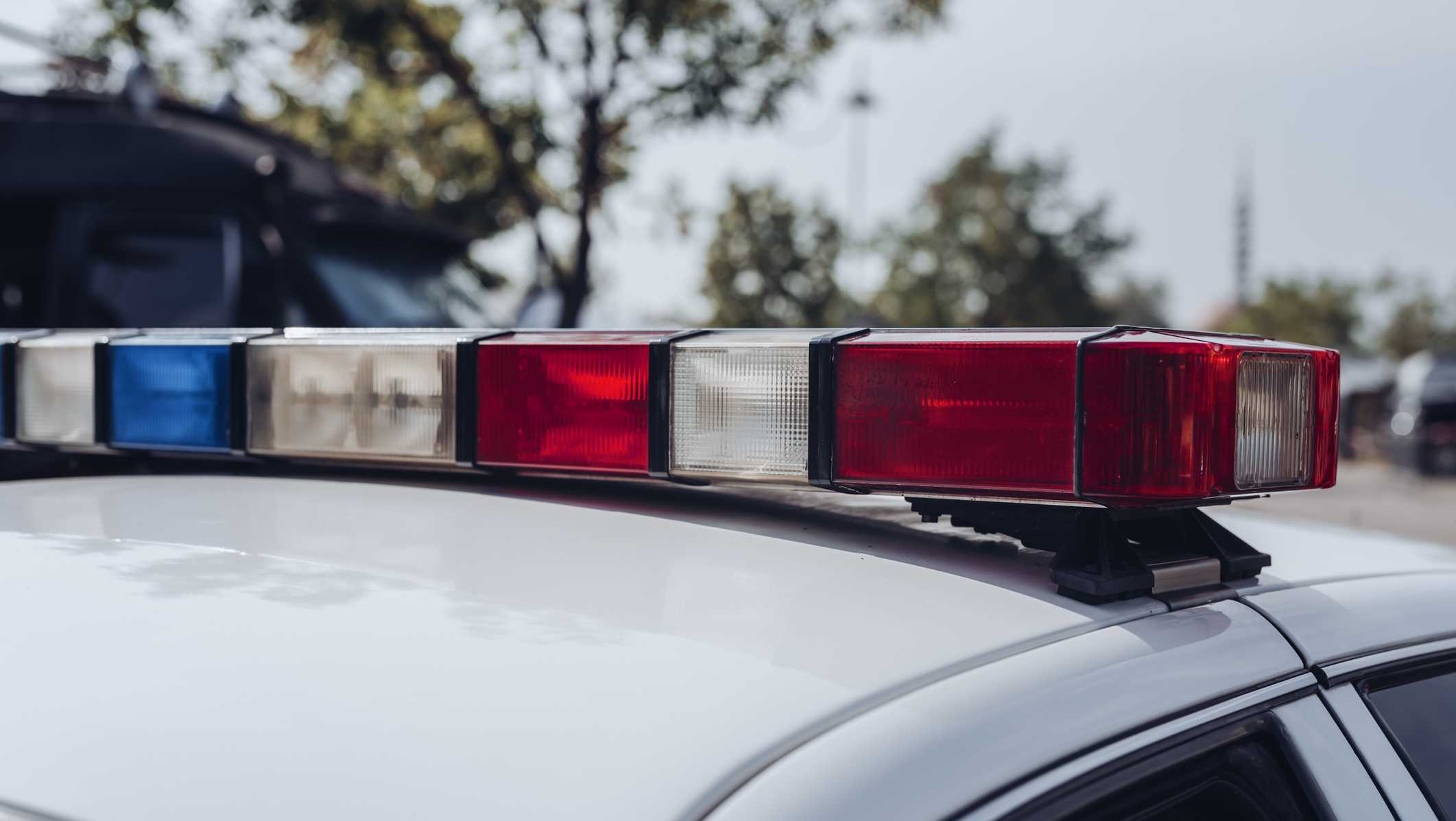 Montpelier woman cited after person falls off moving car, police say - Vimarsana News