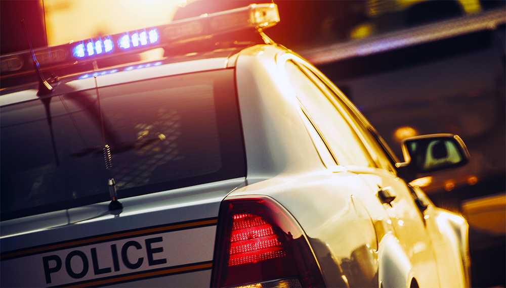 wyff4.com - Stephanie Moore - Improper license plate leads to drug, gun seizure along Upstate highway, police say