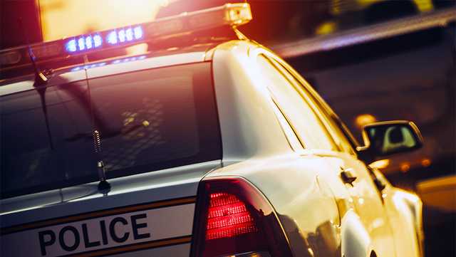 South Carolina: Traffic stop, car search leads to arrest - Vimarsana News