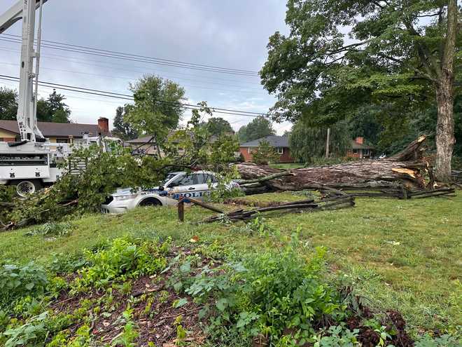 LMPD officer injured after tree falls on cruiser in Highview