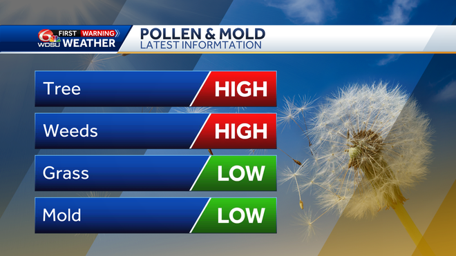 New Orleans seeing high pollen levels from trees and weeds