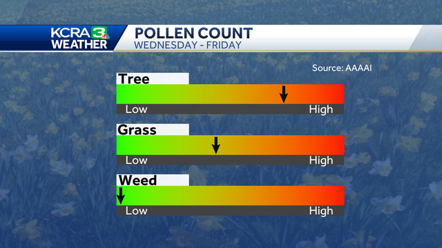 North breeze to put more pollen in the air in Northern California - Vimarsana News