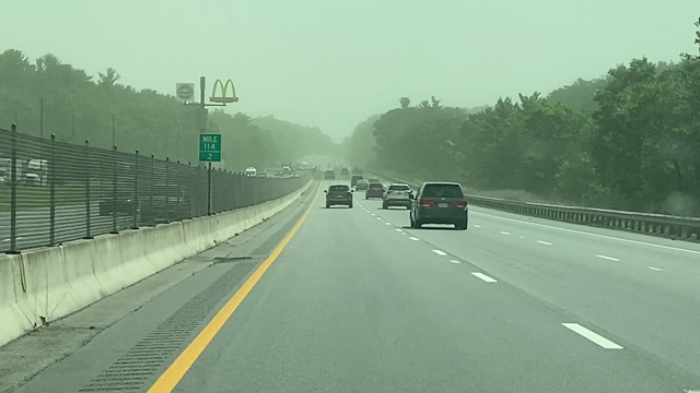 That's not fog or haze; Those greenish clouds are pollen - Vimarsana News