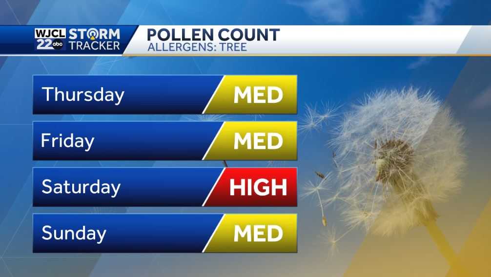 Highs reach the 70s before rain returns Friday - WJCL