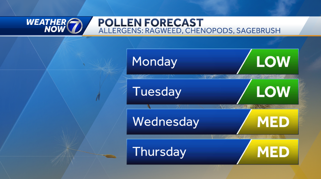 pollen forecast