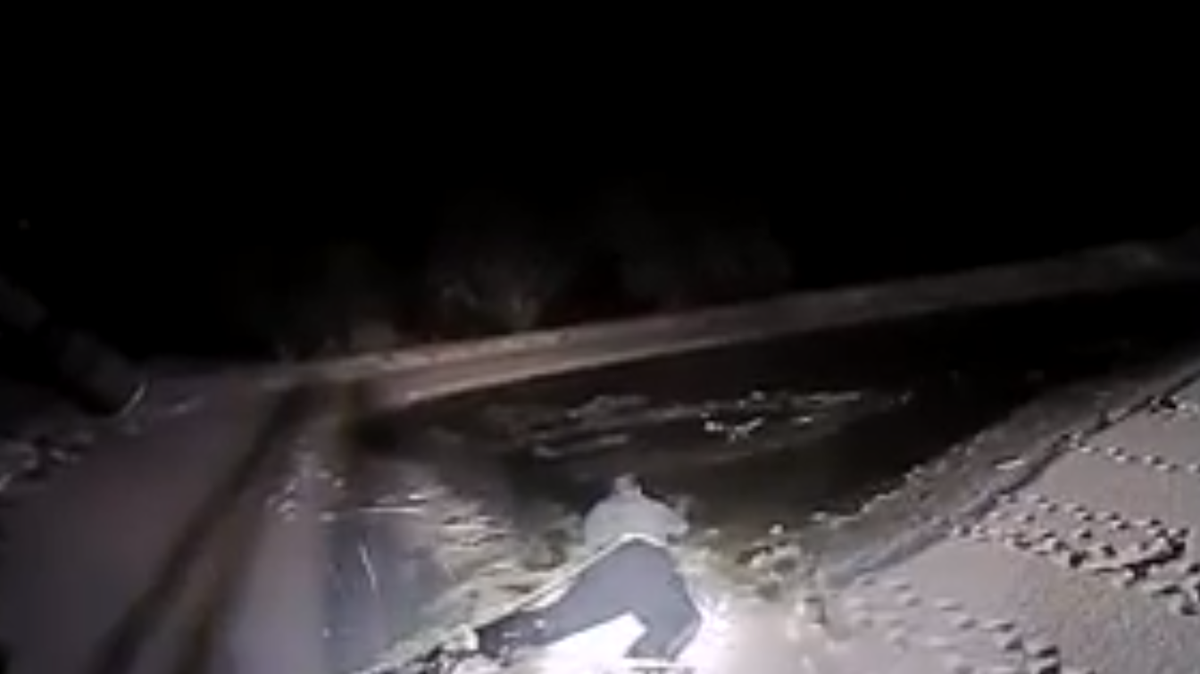 Watch: Officer ties rope around waist to rescue dog from icy pond