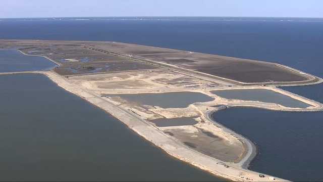 Restored Poplar Island saves wildlife habitat from climate change - Vimarsana News