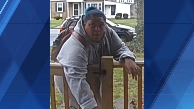 Police in Dauphin County want to identify porch pirate - Vimarsana News