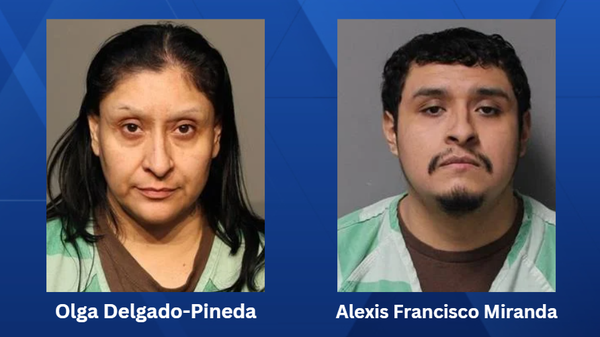 A mother and son, 49-year-old Olga Delgado-Pineda and 28-year-old Alexis Francisco Miranda, have been charged with theft for allegedly stealing packages.