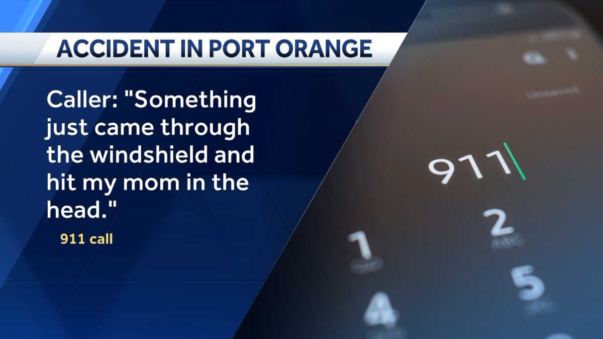 Florida driver has turtle crash through windshield