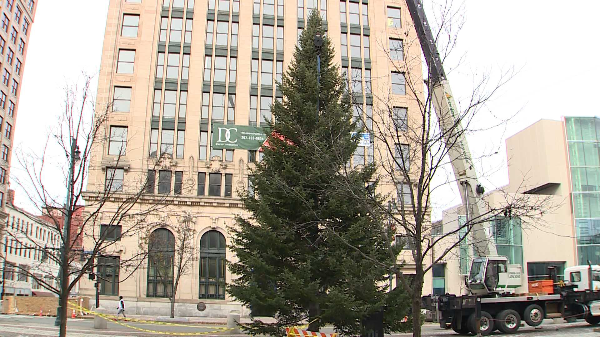 'It's like my own Christmas miracle': Christmas tree is one Maine