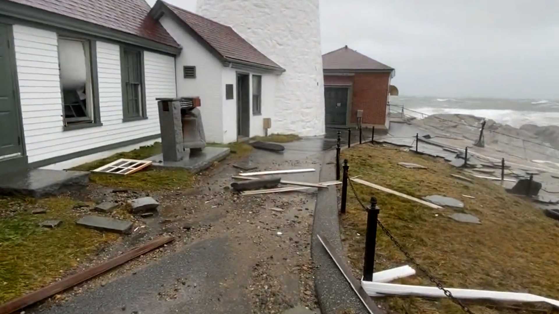 are dogs allowed at portland head light