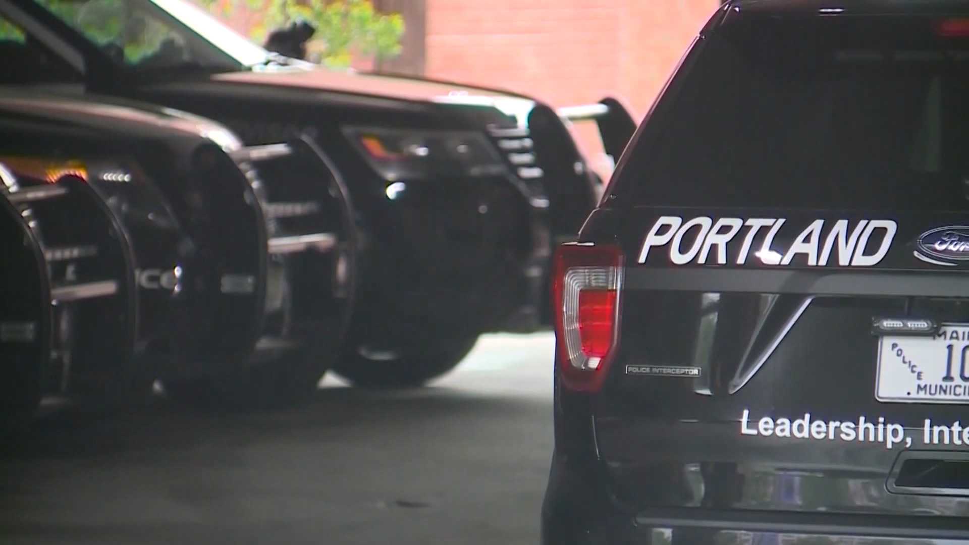 Portland racial equity committee recommends oversight changes for police department - Vimarsana News