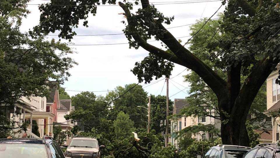 Severe storm leaves trail of damage in Portland