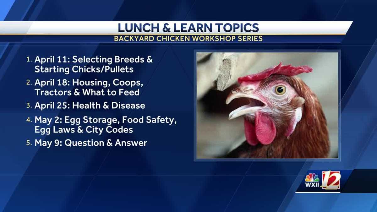 How To Raise Backyard Chickens