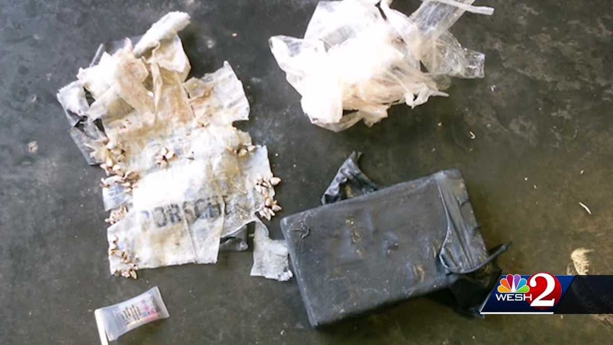 Kilo of cocaine found in Daytona Beach