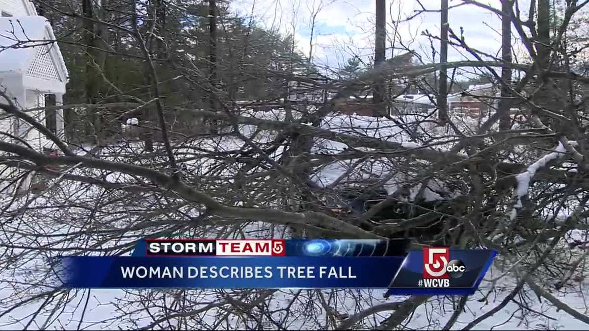 'I saw branches coming toward me' Tree falls on woman
