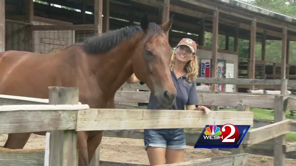 Brevard horse rescue in trouble after rain washes out entrance
