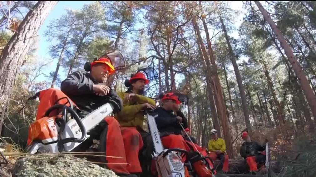 Image result for Former inmates start forestry company after learning skills in prison