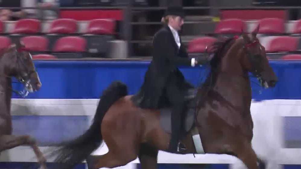 Kentucky State Fair wraps up with World Championship Horse Show