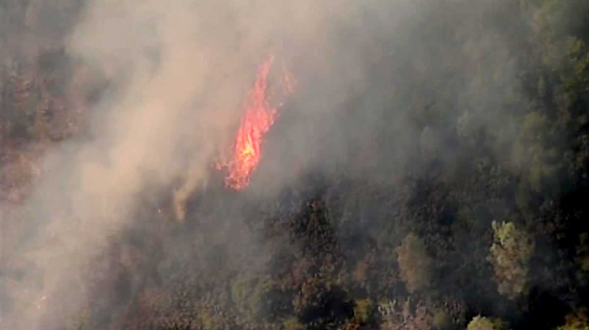 PHOTOS: Wildfire ignites near Lake Oroville