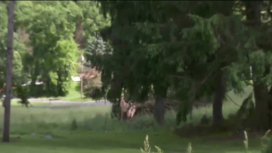 National Weather Service confirms tornado touched down in Washington ...