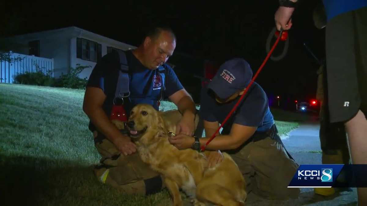Firefighters rescue dog from burning West Des Moines home