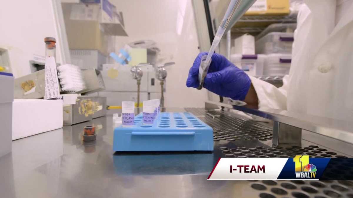 False positive coronavirus tests prompt re-screening of nursing home residents False positive coronavirus tests prompt re-screening of nursing home residents