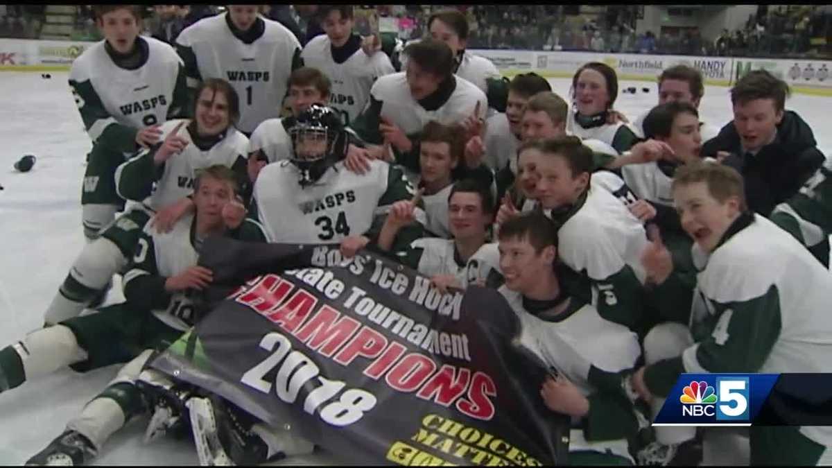 Woodstock hockey wins D2 crown