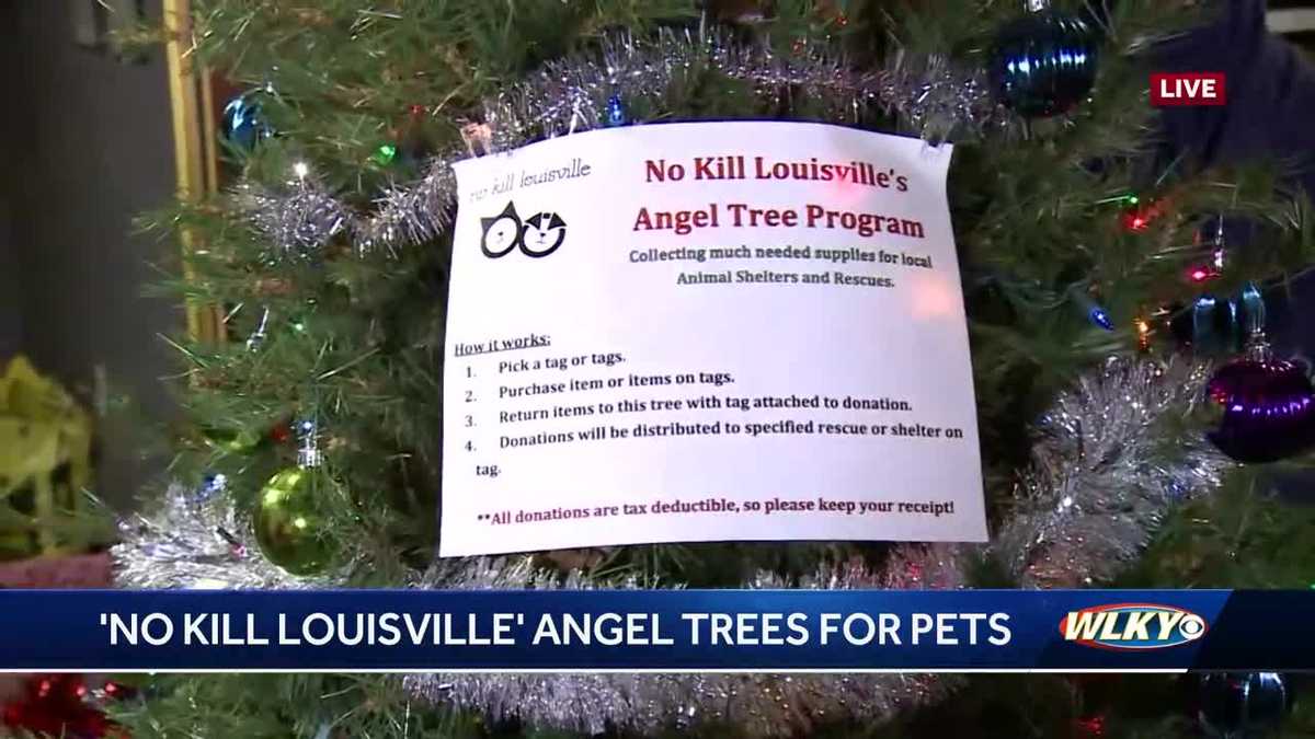 No Kill Louisville sets up Angel Tree for pets