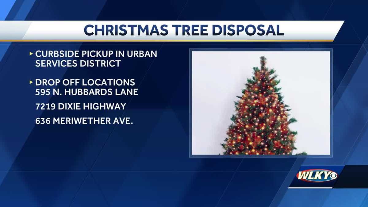Recycle your Christmas tree for free! Curbside pickup available in
