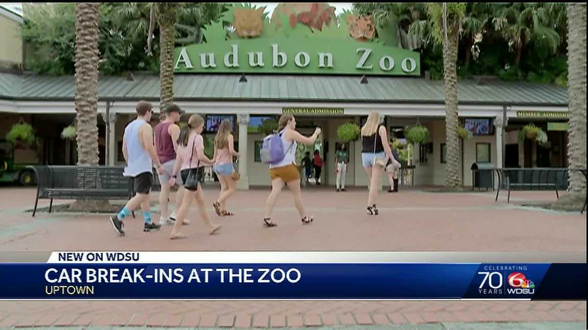 More than 20 cars broken into at Audubon Zoo this month