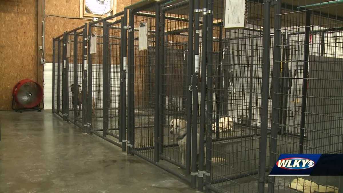 Major issues plaguing Spencer County Animal Shelter