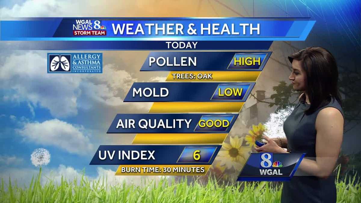 Tree pollen count high today as spring weather settles in