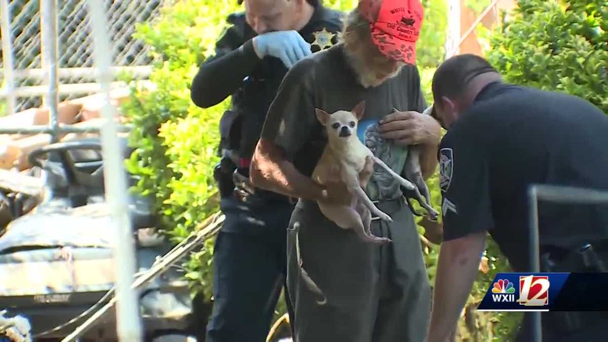Nearly 80 dogs rescued from hoarding situation at a Triad home ...