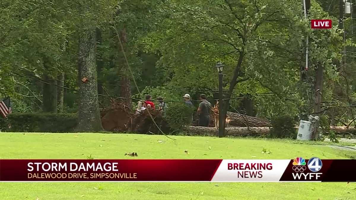 Trees down across area after afternoon storms